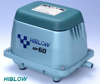 Hiblow orapūtės